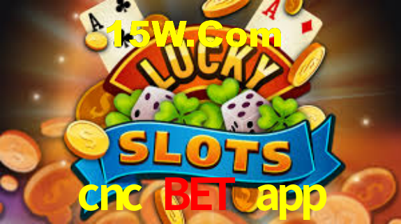 cnc bet app - Installation Guide