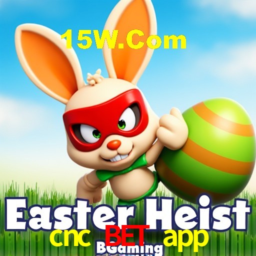 Jogo Aviator cnc bet app