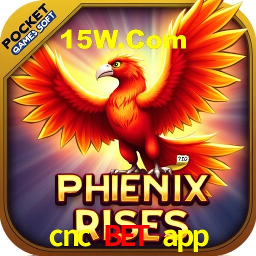Estatísticas Crash Games cnc bet app