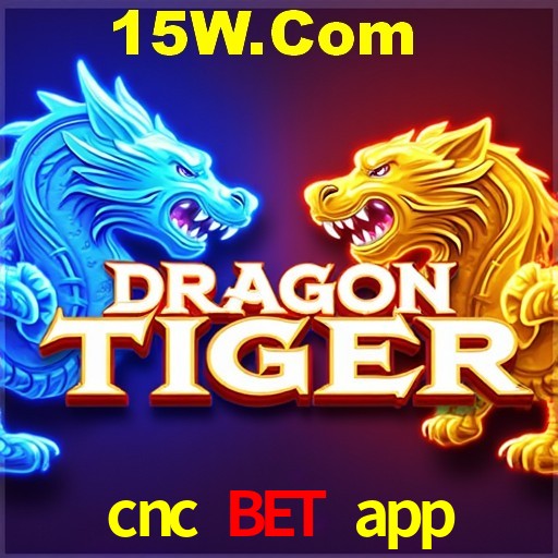 API Integration cnc bet app