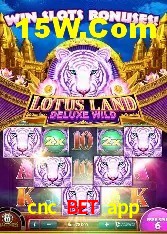 Provedores de Jogos cnc bet app