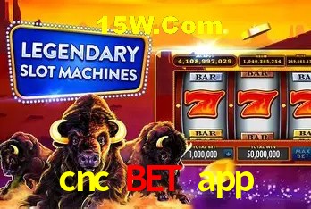 cnc bet app Salvador - Support