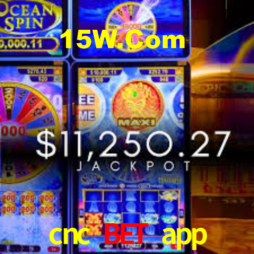 Sinta a adrenalina dos jogos de cassino com cnc bet app